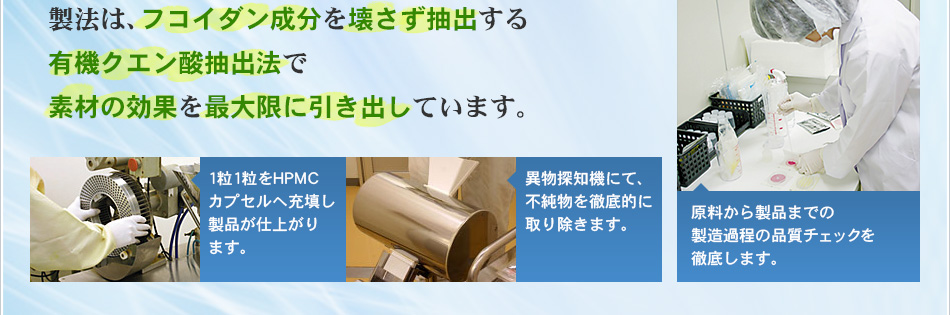 素材の効果を最大限に引き出しています